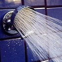 All Directional Showerhead