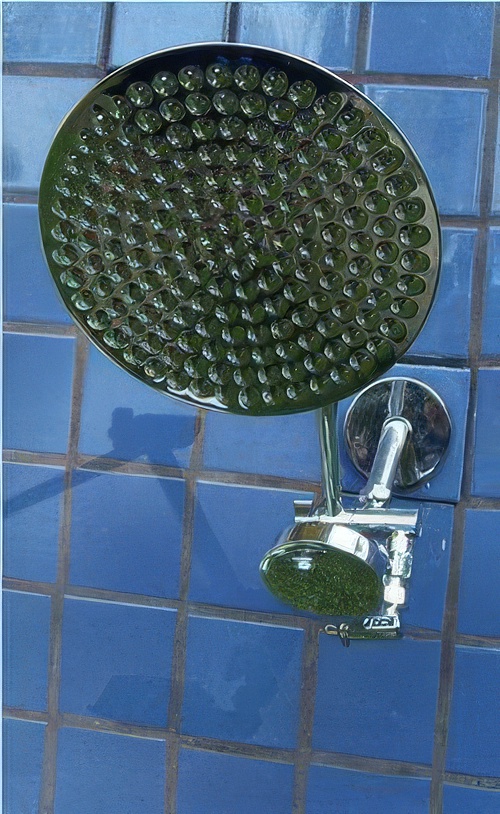 Double 8 Inch Rainshower and ADS Double 8 Inch Rainshower and ADS